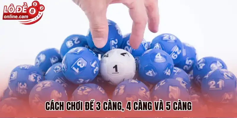 Đề Càng - Kinh Nghiệm Bắt Đề Cực Chuẩn Xác Từ Cao Thủ 2 Cách chơi đề 3 càng, 4 càng và 5 càng