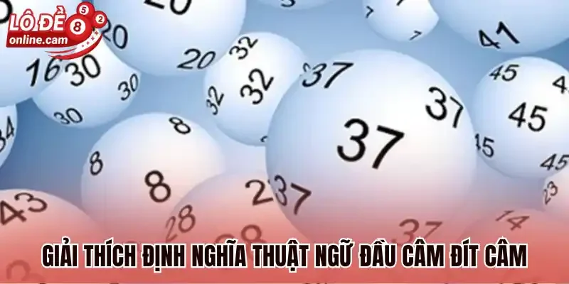 Đầu Câm Đít Câm - Bí Kíp Soi Cầu Được Sử Dụng Nhiều Nhất 2026 1 Giải thích định nghĩa thuật ngữ đầu câm đít câm
