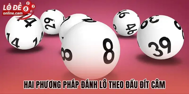 Đầu Câm Đít Câm - Bí Kíp Soi Cầu Được Sử Dụng Nhiều Nhất 2026 3 Hai phương pháp đánh lô theo đầu đít câm