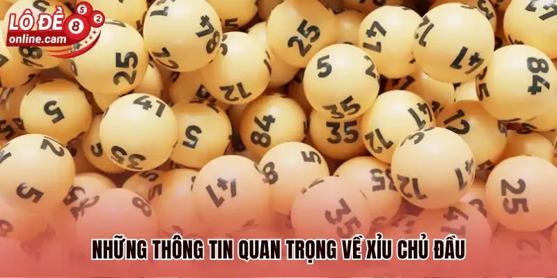 Xỉu Chủ Đầu Là Gì? Bật Mí 3 Cách Đánh Phổ Biến Nhất 2026 1 Những thông tin quan trọng về xỉu chủ đầu