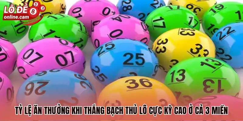 Lô Bạch Thủ - Hướng Dẫn Soi Cầu Chuẩn Từ Chuyên Gia 2 Tỷ lệ ăn thưởng khi thắng bạch thủ lô cực kỳ cao ở cả 3 miền