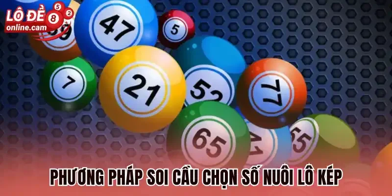 Nuôi Lô Khung Kép - 3 Cách Bắt Lô Kép Chuẩn Không Cần Chỉnh 3 Phương pháp soi cầu chọn số nuôi lô kép
