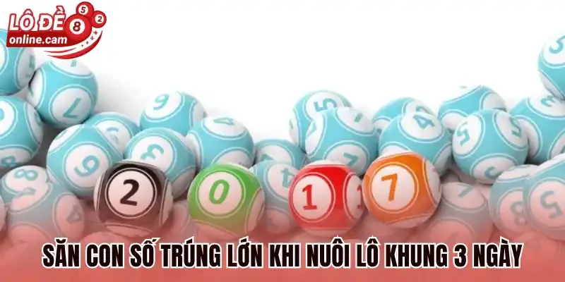 Nuôi Lô Khung 3 Ngày Là Gì? Những Hạn Chế Khi Chọn Lô 1 Săn con số trúng lớn khi nuôi lô khung 3 ngày