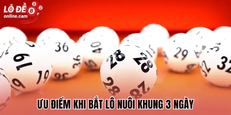 Nuôi Lô Khung 3 Ngày Là Gì? Những Hạn Chế Khi Chọn Lô 2 Ưu điểm khi bắt lô nuôi khung 3 ngày
