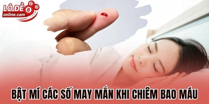Mơ Thấy Máu - Dấu Hiệu Tốt Hay Xấu? Đánh Số Mấy May Mắn? 3 Bật mí các số may mắn khi chiêm bao máu