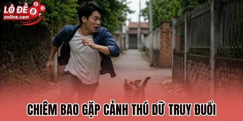Chiêm bao gặp cảnh thú dữ truy đuổi