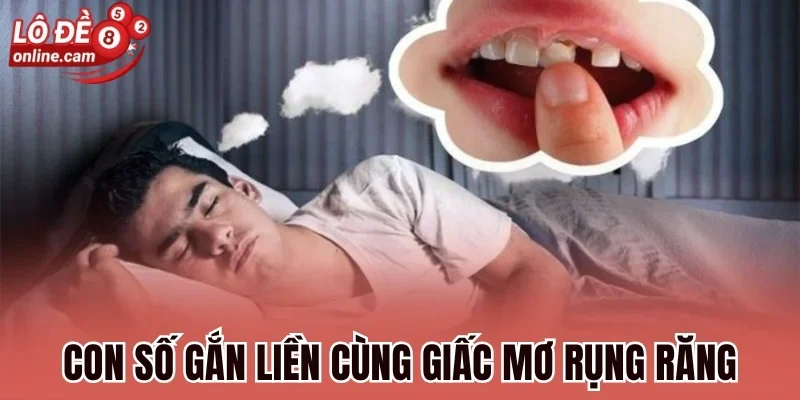 Mơ Răng Rụng - Ý Nghĩa Tâm Linh Và Giải Mã Con Số May Mắn 3 Con số gắn liền cùng giấc mơ rụng răng