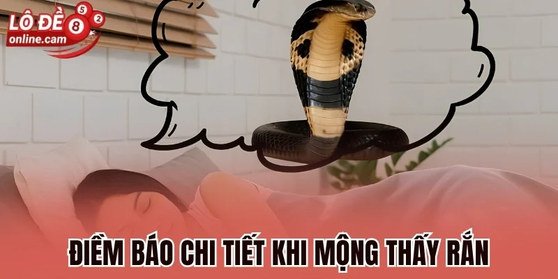 Mơ Thấy Rắn - Giải Mã Vận Mệnh Sắp Tới Và Con Số Bí Ẩn 2 Điềm báo chi tiết khi mộng thấy rắn