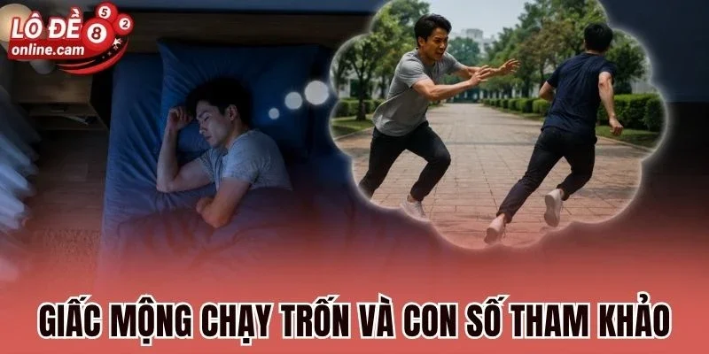 Giấc mộng chạy trốn và những con số tham khảo