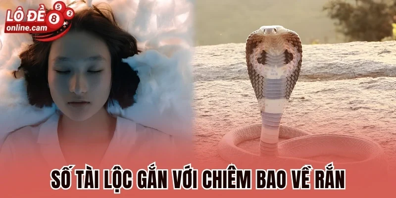 Mơ Thấy Rắn - Giải Mã Vận Mệnh Sắp Tới Và Con Số Bí Ẩn 3 Số tài lộc gắn với chiêm bao về rắn