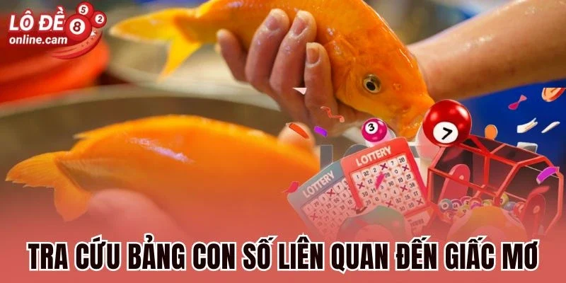Tra cứu bảng con số liên quan đến giấc mơ